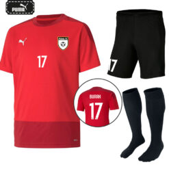 Puma Teamgoal 23 Kırmızı Futbol Forması 65648201